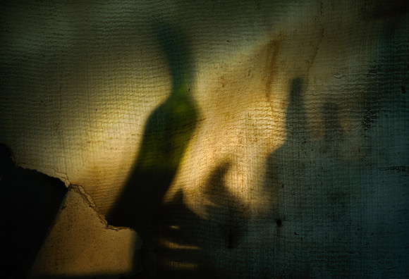 Shadow (squirrel)